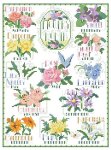 (image for) Flowers of the Month